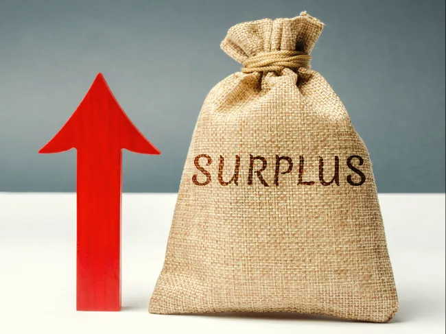 Surplus